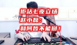 七夜爆料赵小磊完整视频,赵小磊完整视频事件深度剖析